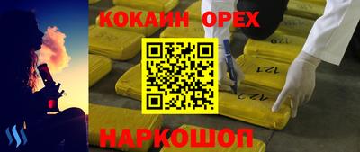 крисы Будённовск