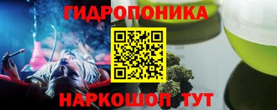 крисы Будённовск