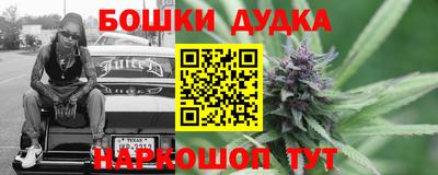 крисы Будённовск