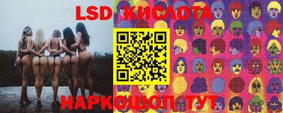 крисы Будённовск